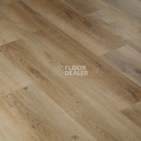 Tarkett Funky House BOB фото 2 | FLOORDEALER